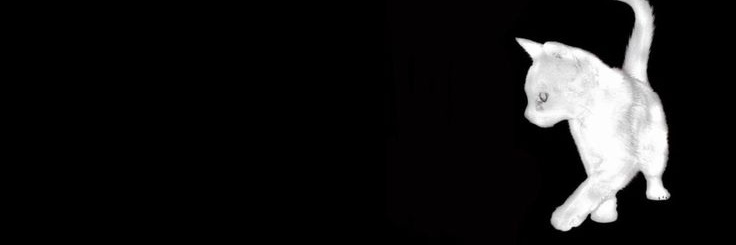 buckyundip's profile banner image