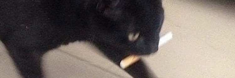campalombo's profile banner image