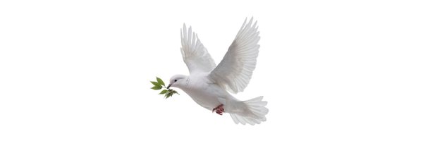 7Mookissu Profile Banner