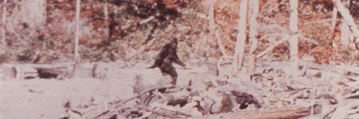 StantonArch1967's profile banner image