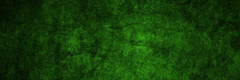 MissMintWolf's profile banner image