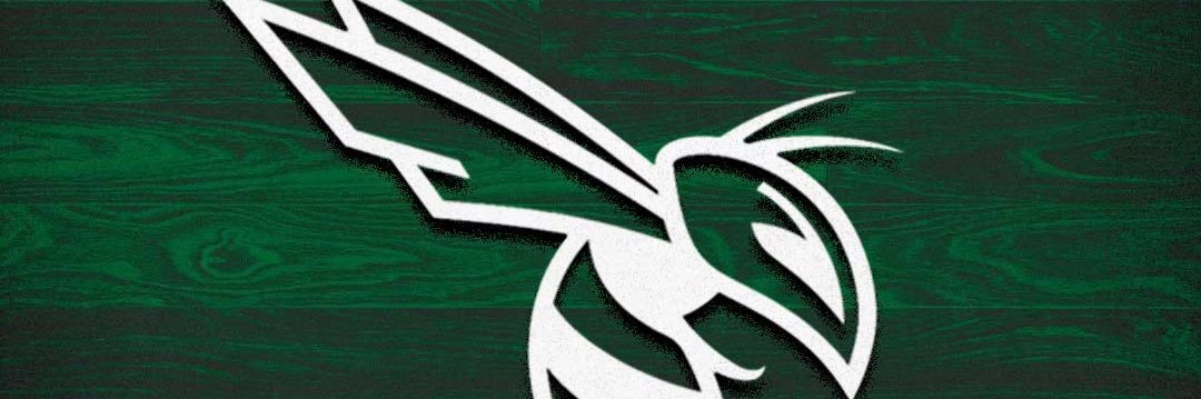 Carter HS Basketball banner