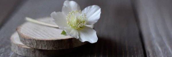 8amina_abdulla8 Profile Banner