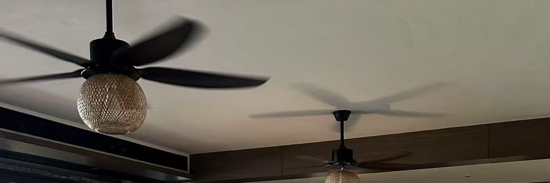 D banner