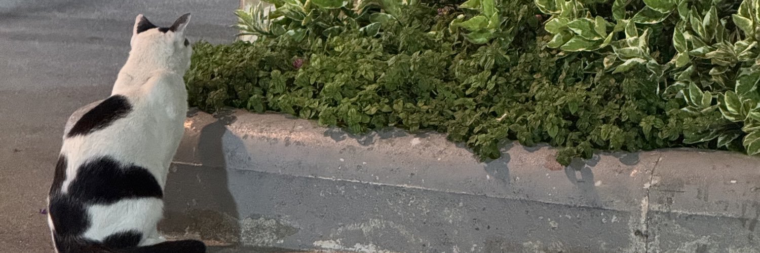 Ggameom69's profile banner image