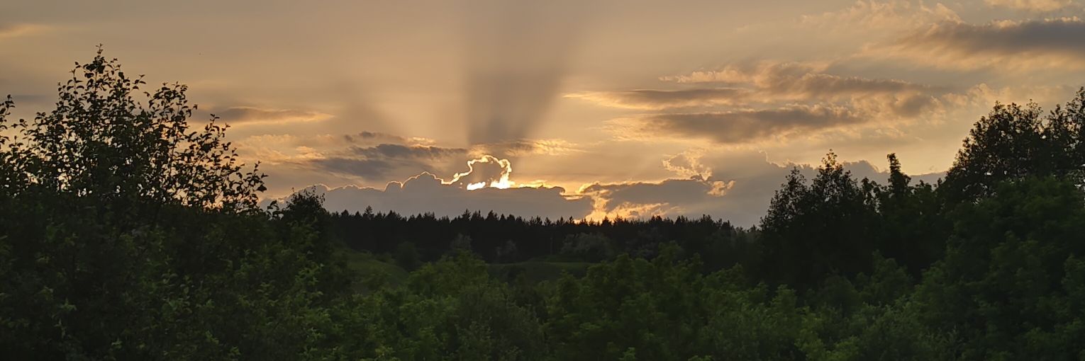 гусь banner
