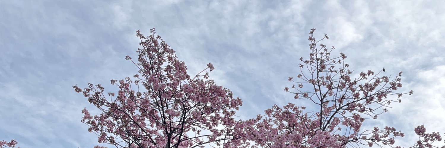 hallonunuu's profile banner image