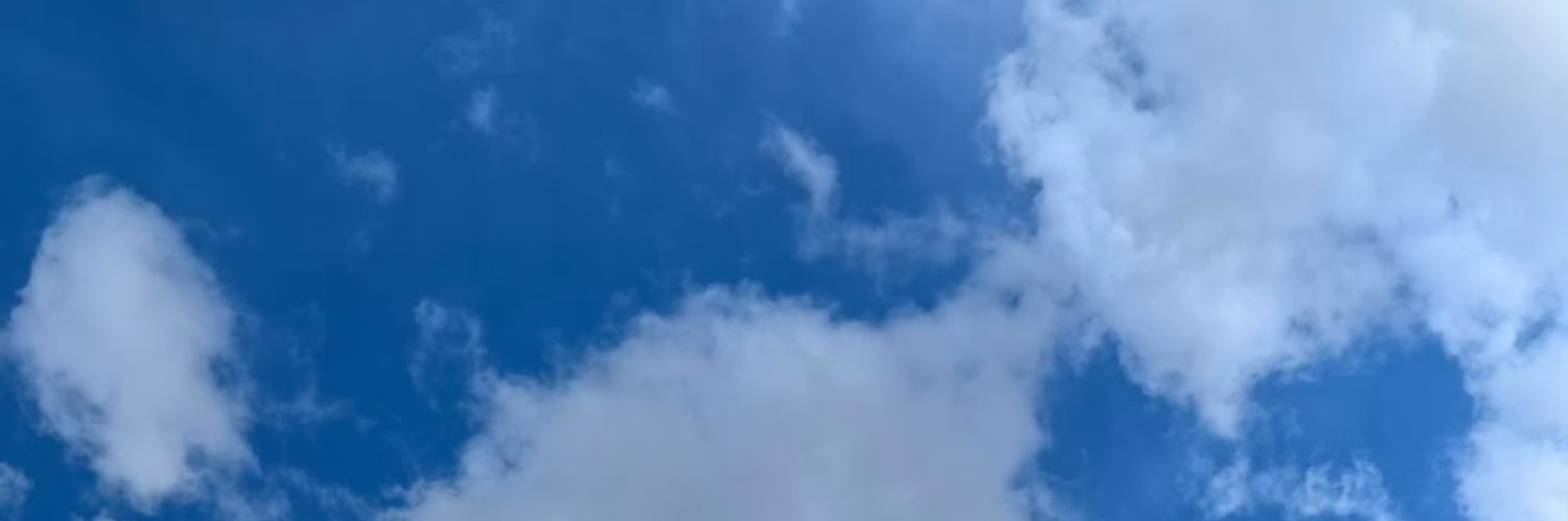 ningingS2's profile banner image