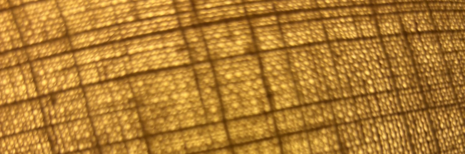 iznahere's profile banner image