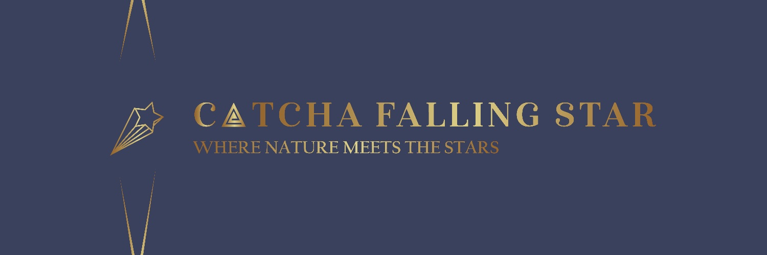 Catcha4lingstar's profile banner image