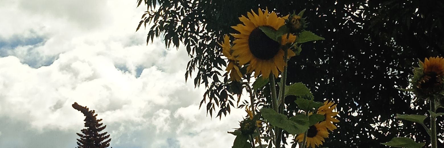 Un Clanker Libre banner