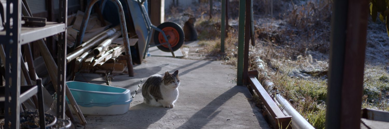 映画『 笑えない世界でも 』公式 banner