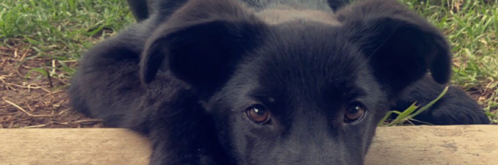 Brady_wilhelm's profile banner image