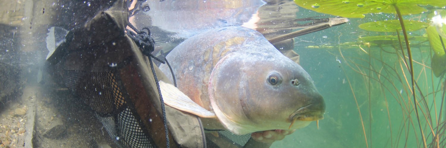 Martin Bowler banner