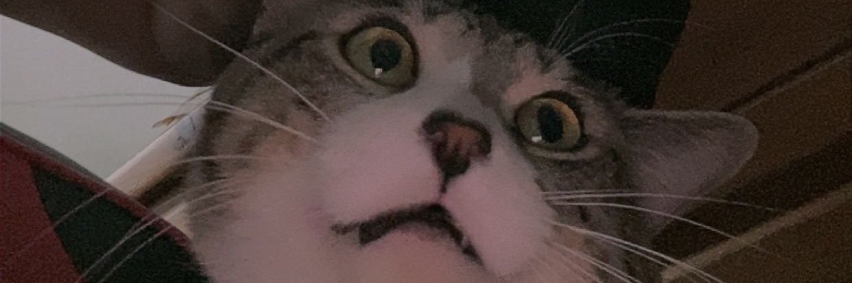 blascas6's profile banner image