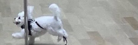 timetosaygoodbye👋🏽 banner