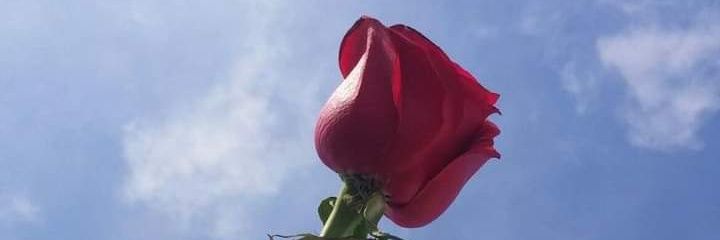 SuMyat44's profile banner image