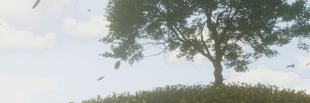 LynnXims🌿 | Simmer 🏡 banner