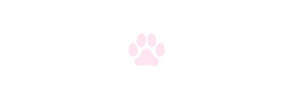 KittenzAddict Profile Banner