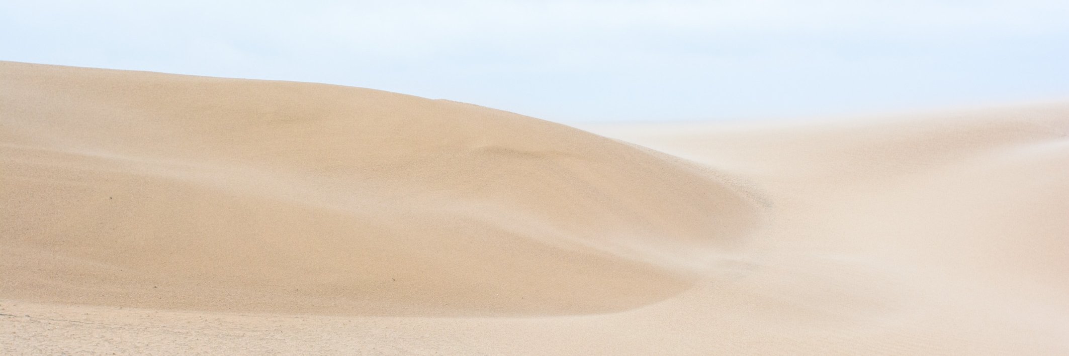 camilosc's profile banner image