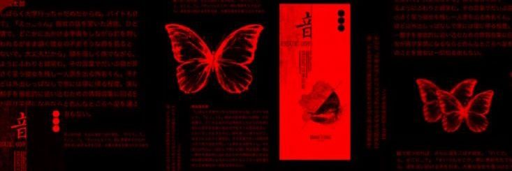 𝕬𝖉𝖍𝖆𝖗𝖆 𝖂𝖔𝖑𝖋 ִֶָ..𓂃 ࣪ ִֶָ🦇་༘࿐ banner