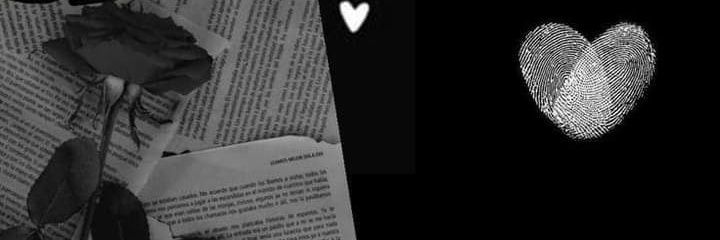 eusouumaleitora's profile banner image