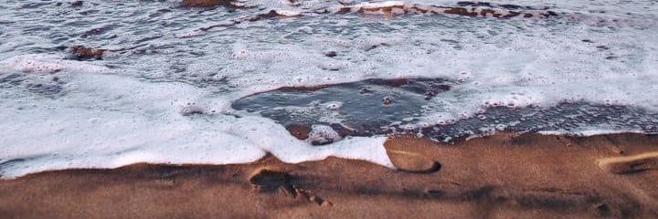 tinaarcomano's profile banner image