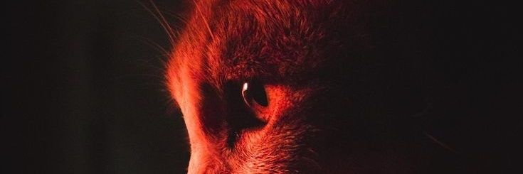 RZA770's profile banner image