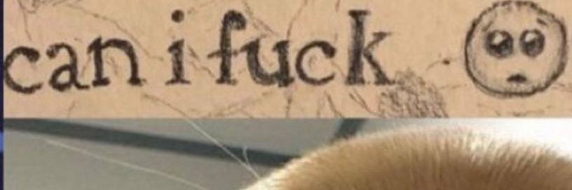 Dakota banner