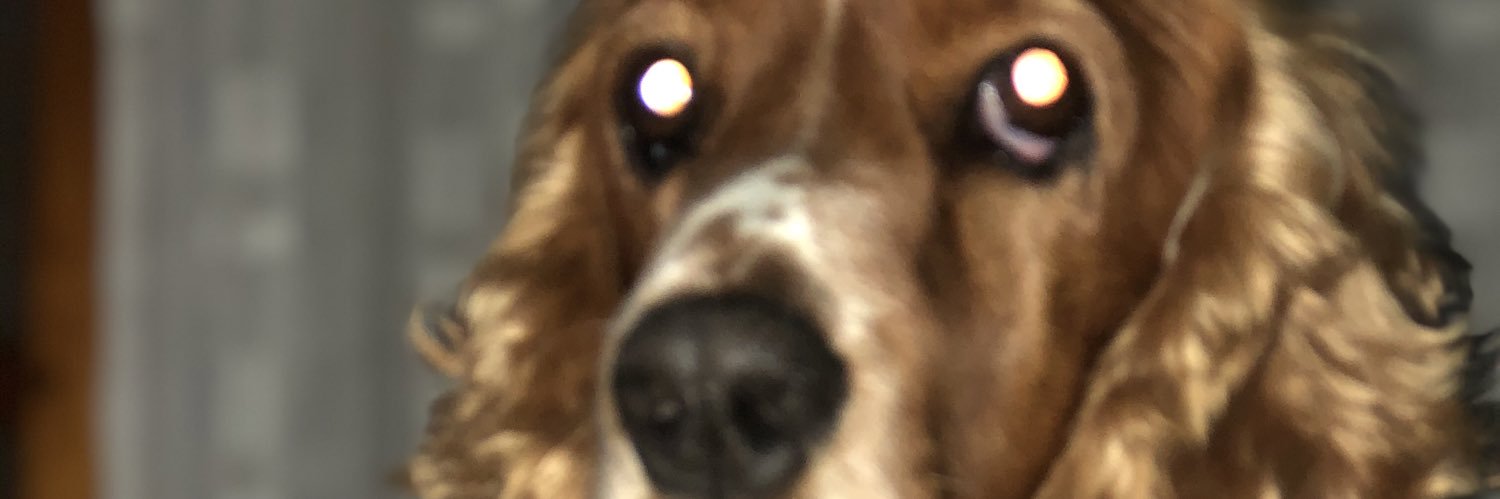 FanoMurialdo's profile banner image