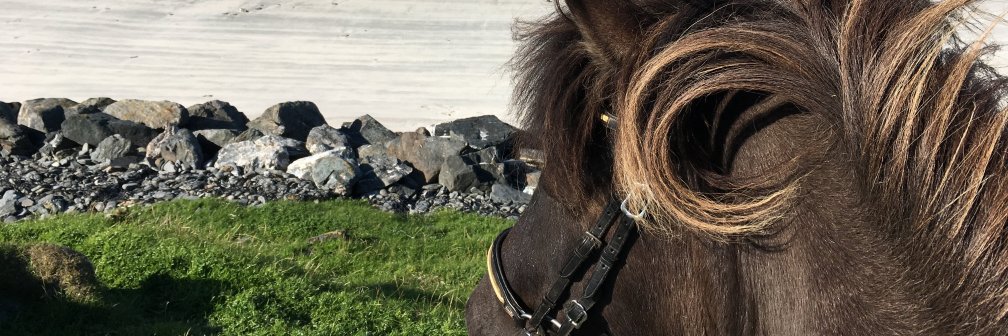 ArchaeoBoz's profile banner image