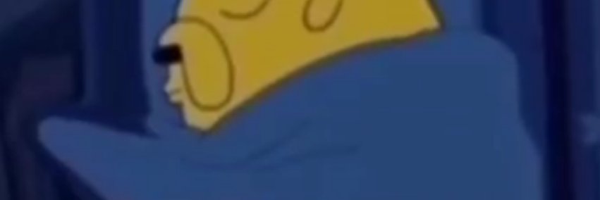 catnip banner