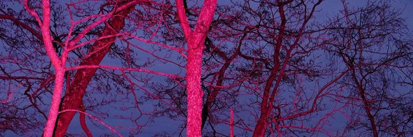 7iks2 Profile Banner