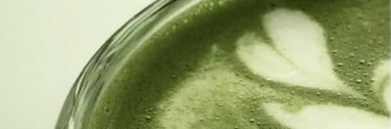 segryl banner