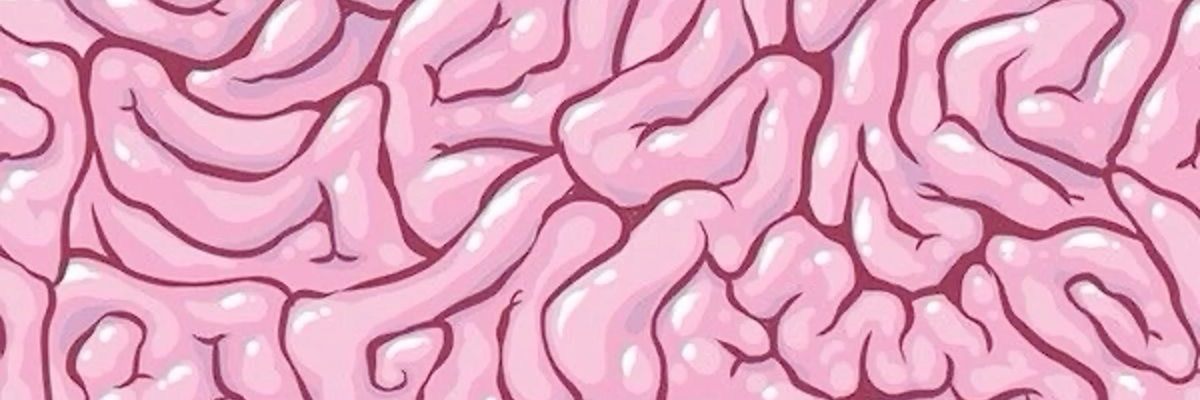 the hole stuffer banner