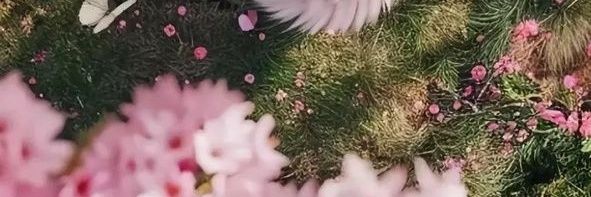 k_satraii's profile banner image