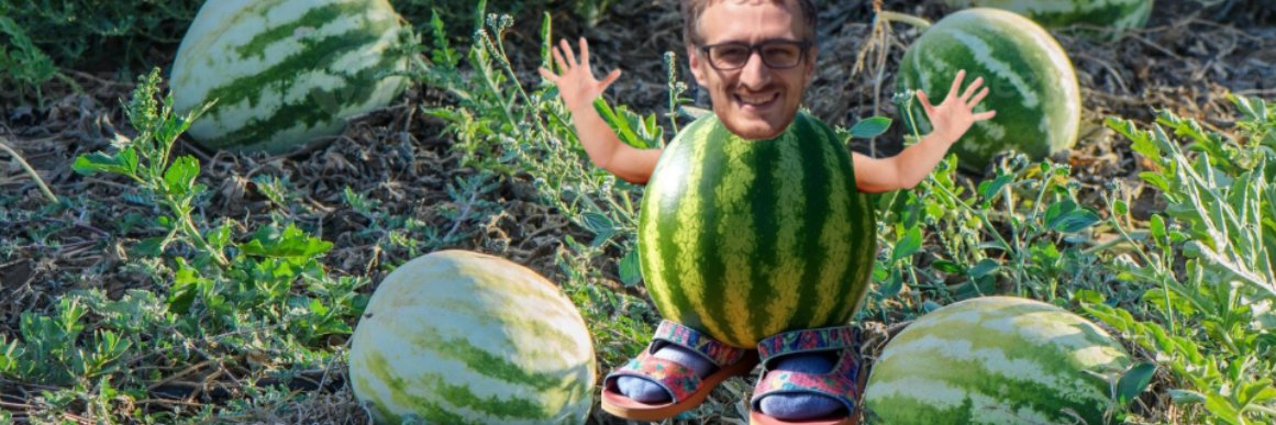 not_socky's profile banner image