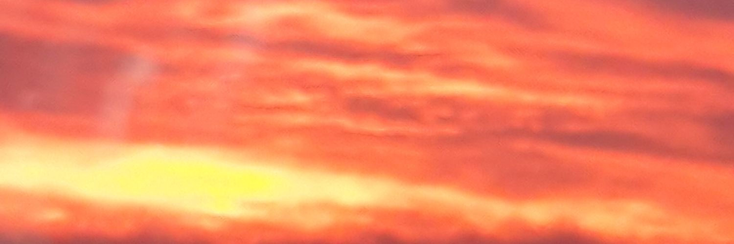 Beeria's profile banner image