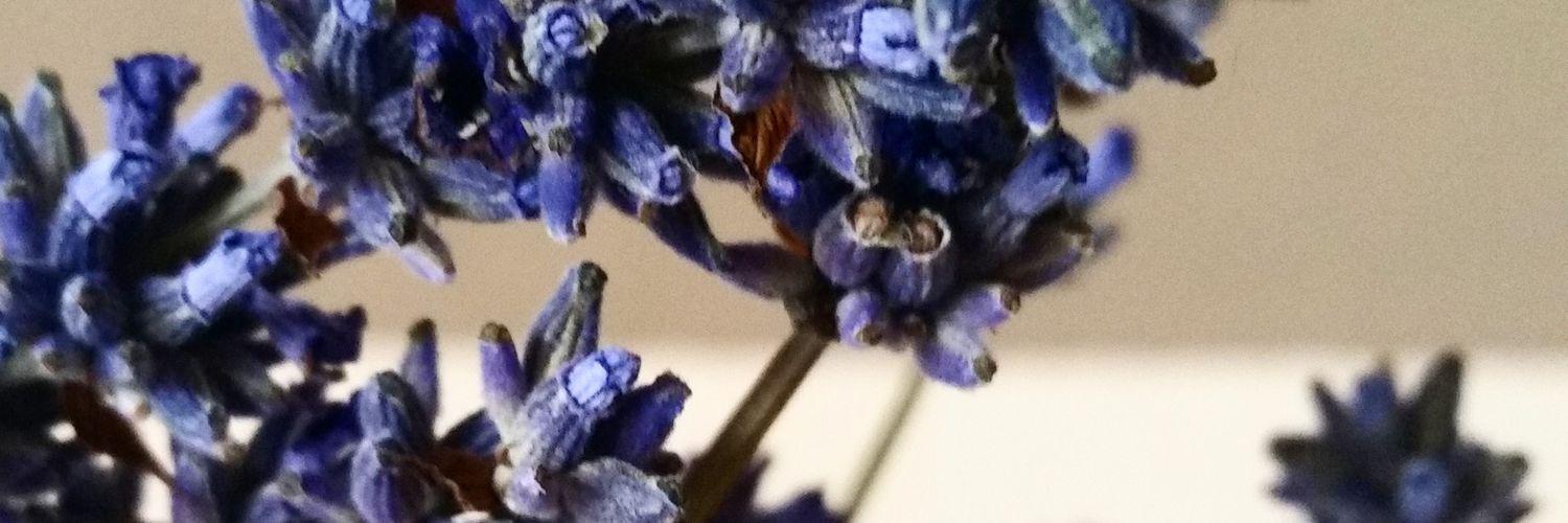 keely247's profile banner image