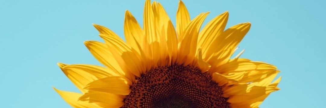 valgomezr's profile banner image