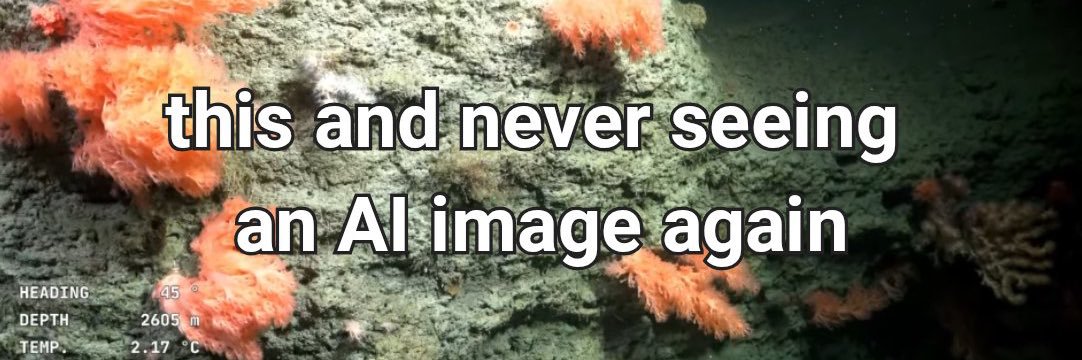 mis pokemones marplatenses banner