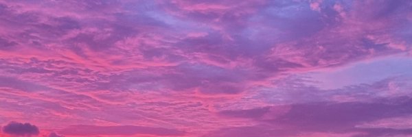 kinsonangnamul Profile Banner