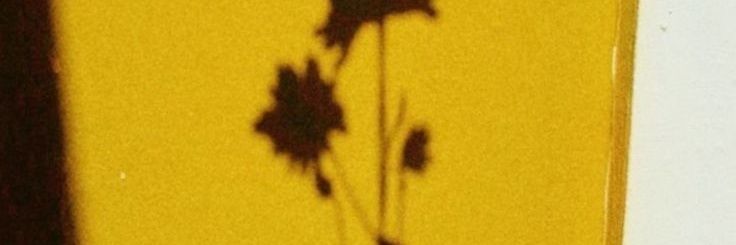 mydearestt_'s profile banner image