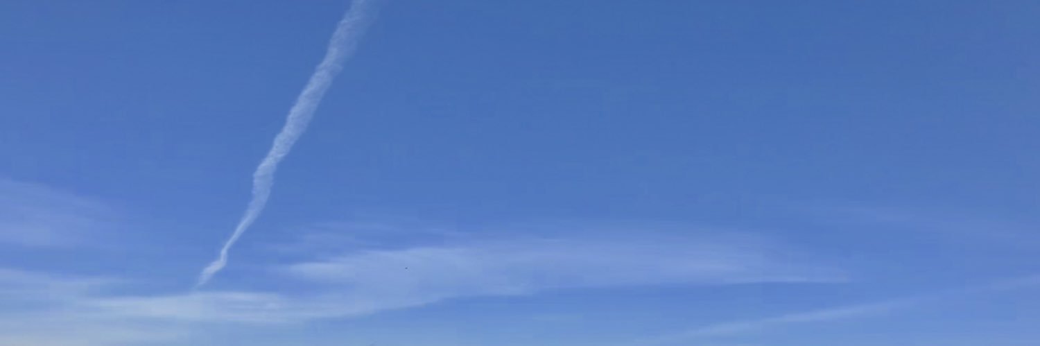Lillixenee's profile banner image