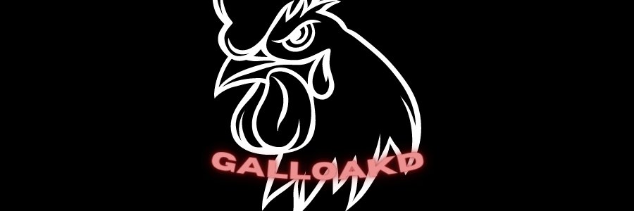 GalloakdEdson's profile banner image