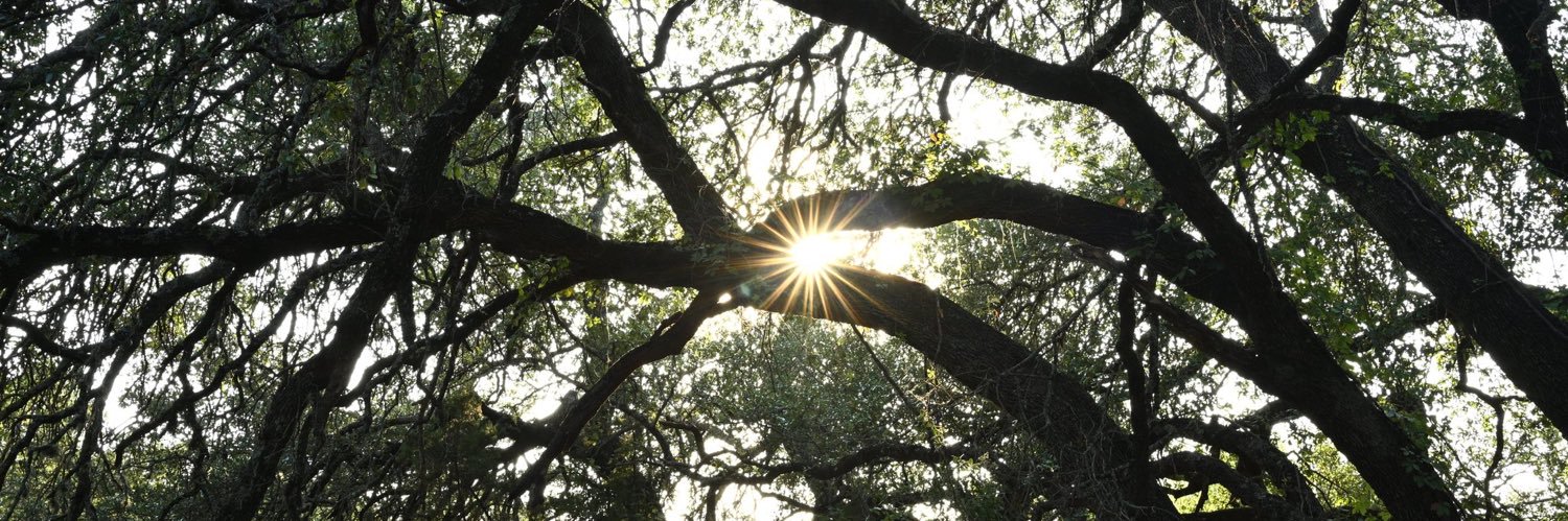 رتَابَة banner