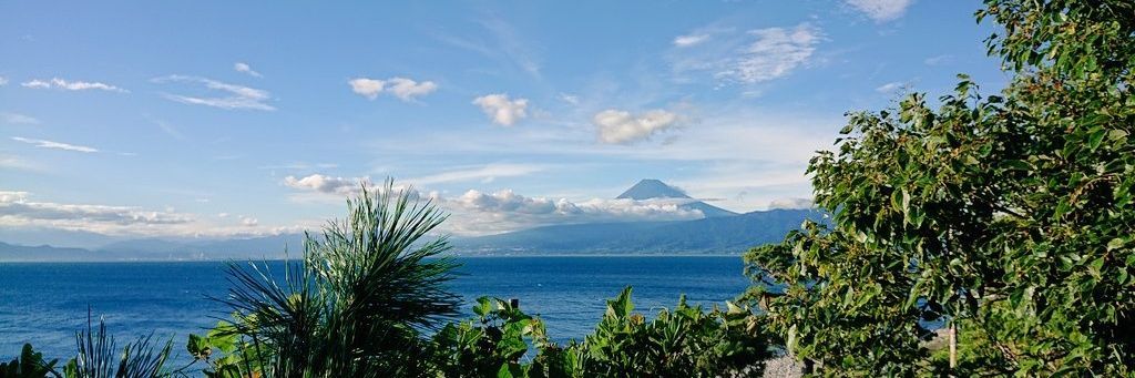 汰津(たつ) banner