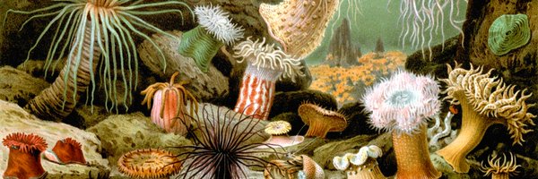 chigozienri Profile Banner