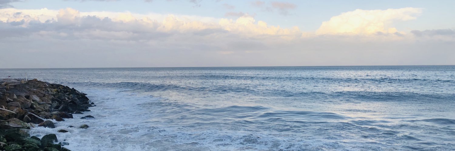daiannasl's profile banner image