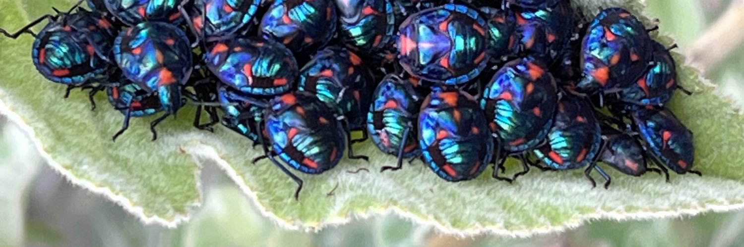 Damien Harkin banner